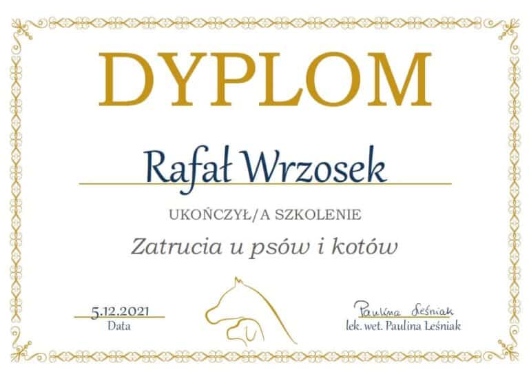 265324884 1131689207659154 5564213704987187011 n