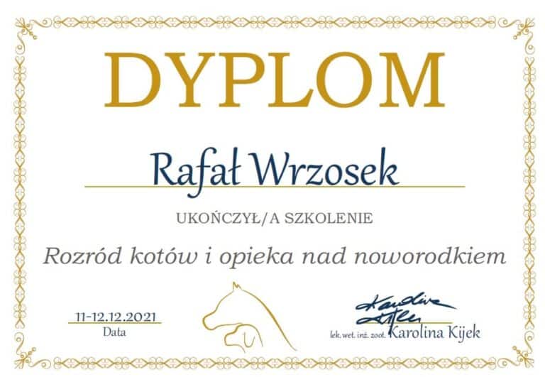 267465738 1131759974318744 6743821865660667051 n 1