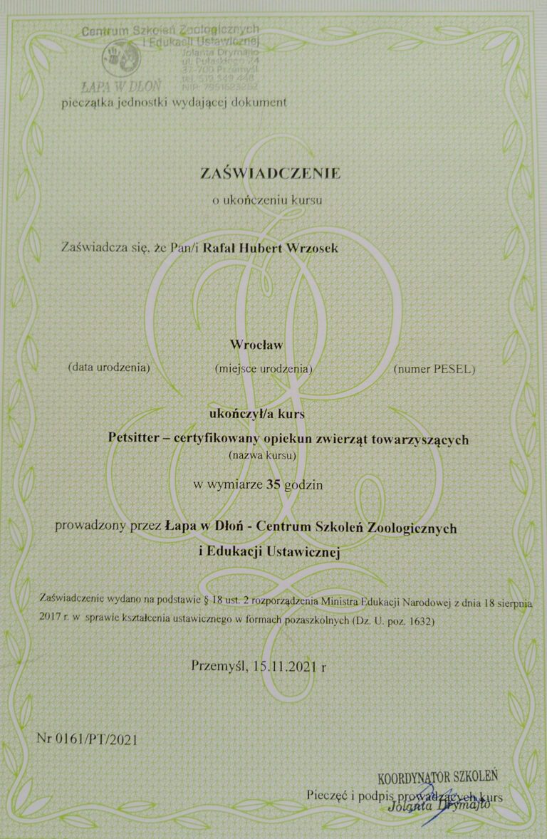 IMG 20240727 114826202 1 scaled