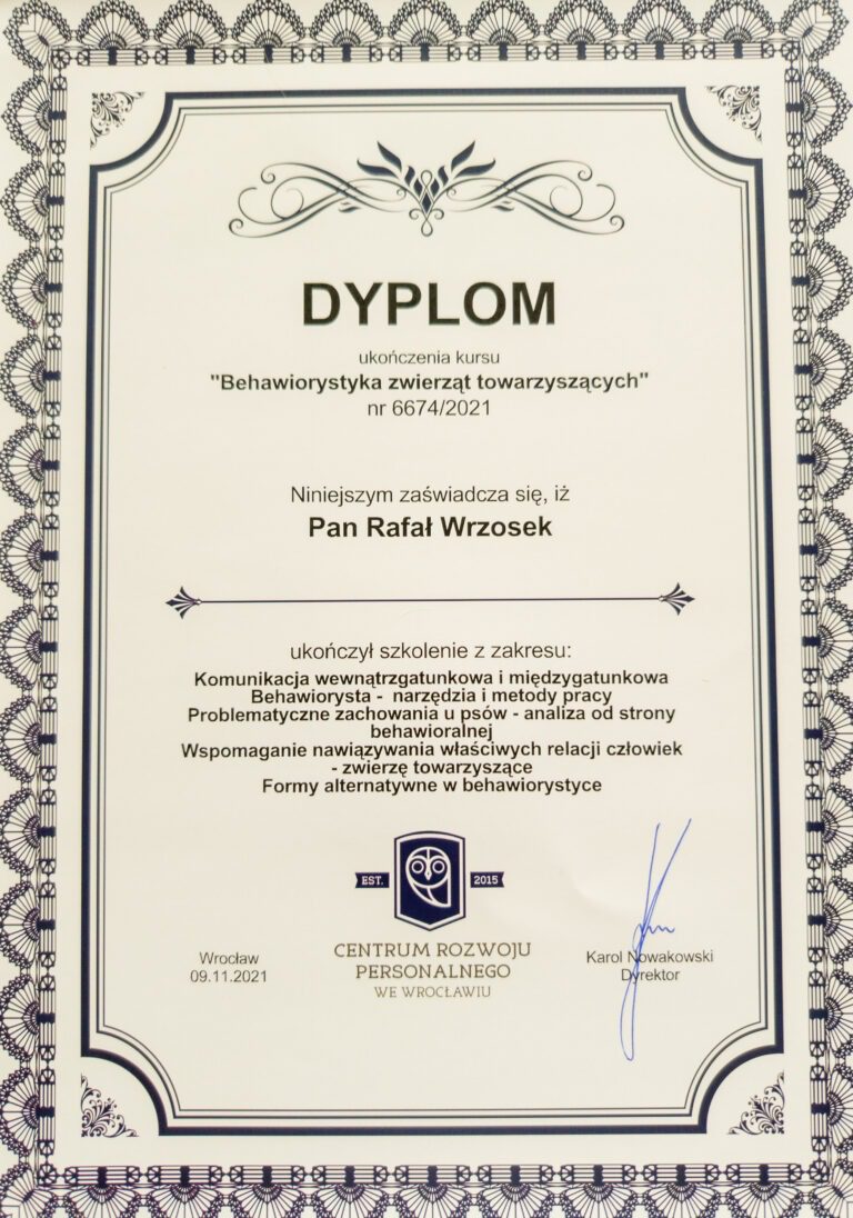 IMG 20240727 114846438 scaled