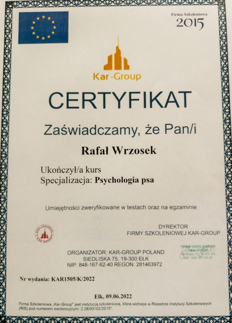 IMG 20240727 114910601 scaled