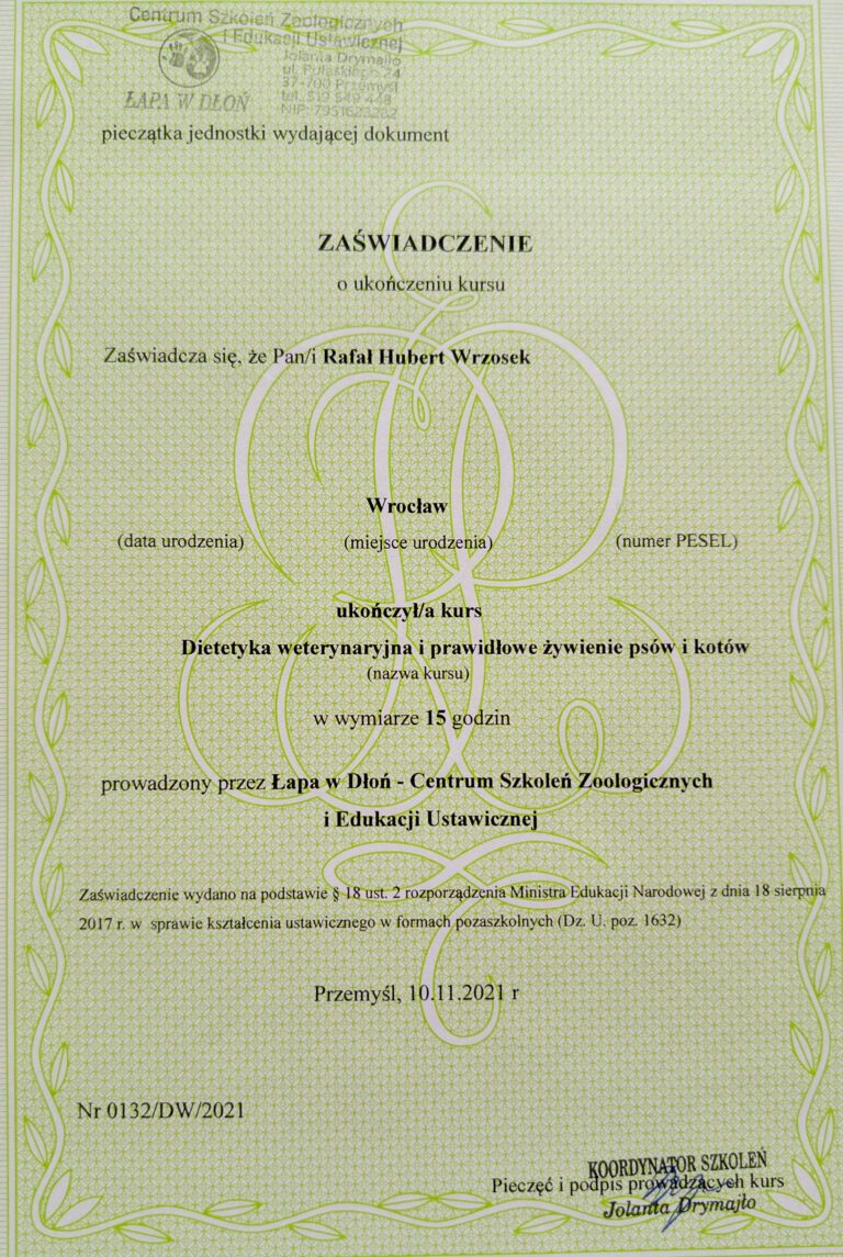 IMG 20240727 114937508 scaled