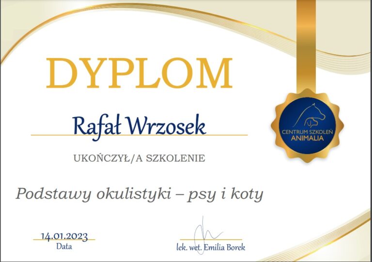 dyp szkolenie okul