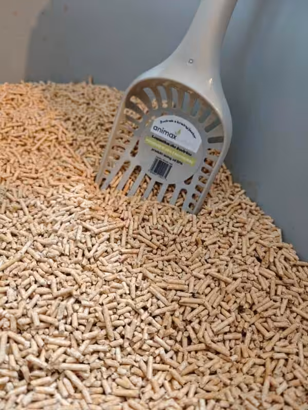 1725624300880 600x800