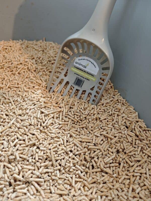 1725624300880 600x800