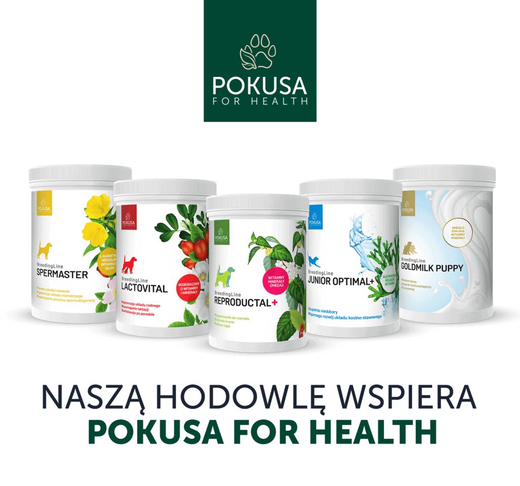 Pokusa for Health – nasza hodowla wspiera