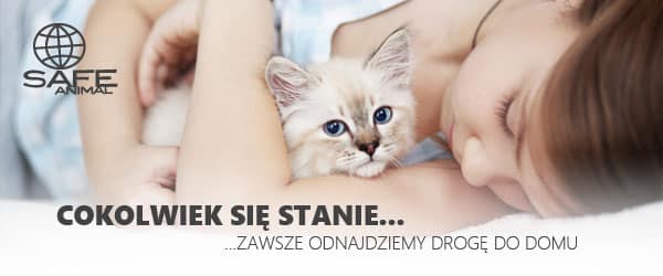 safe animal 600x250 1
