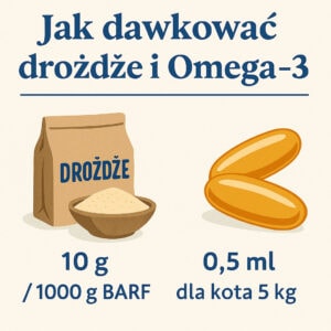 Infografika pokazująca dawkowanie drożdży i Omega-3 dla kota: 10 g drożdży na 1000 g mieszanki BARF oraz 0,5 ml Omega-3 dla kota o masie 5 kg.