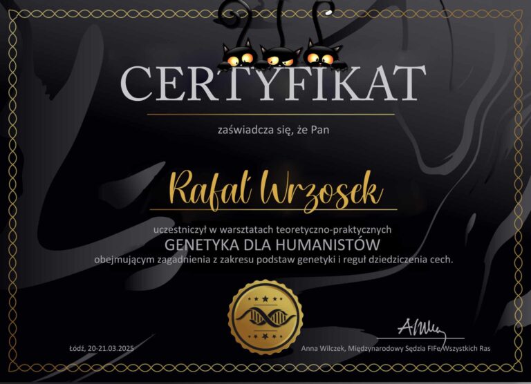 Multipurpose certificate template in dark golden theme design