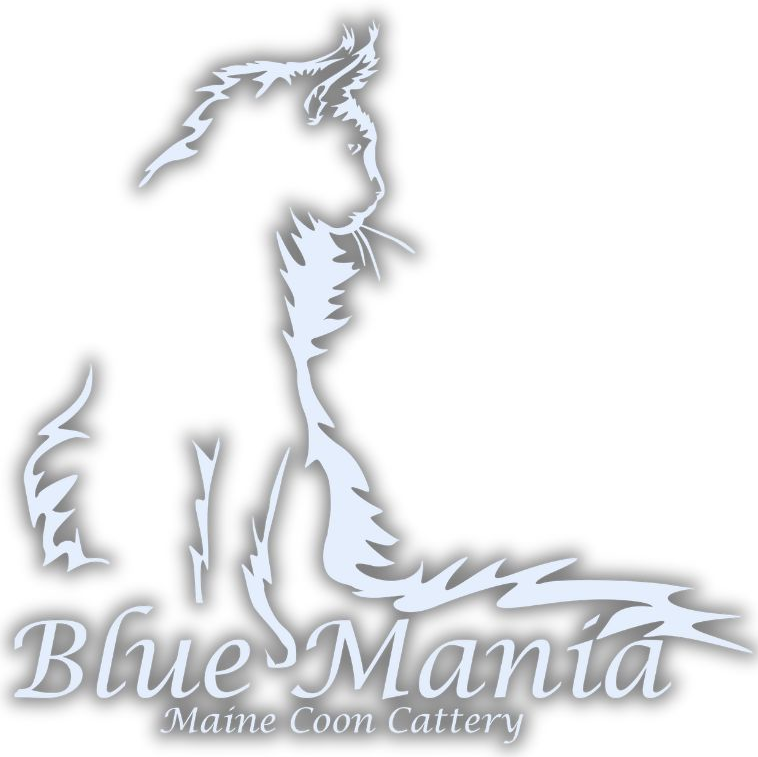 Logo Blue Mania