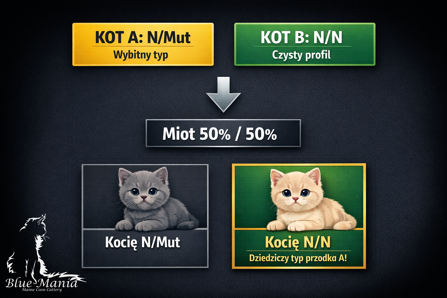 Badania Genetyczne Kotów